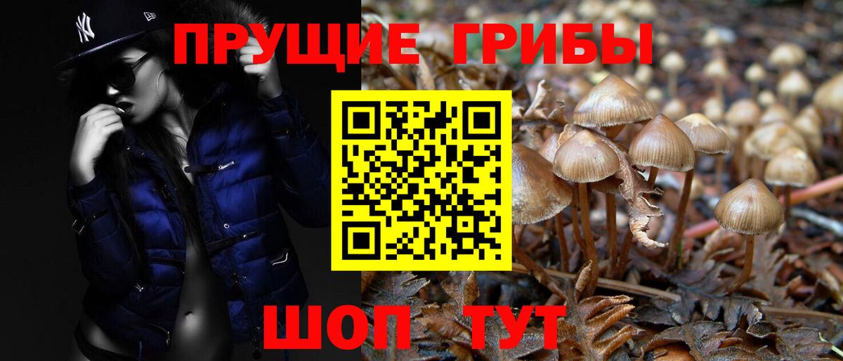 Галлюциногенные грибы Magic Shrooms  Галлюциногенные грибы прущие грибы  Новошахтинск  купить наркоту  Вход с VPN 