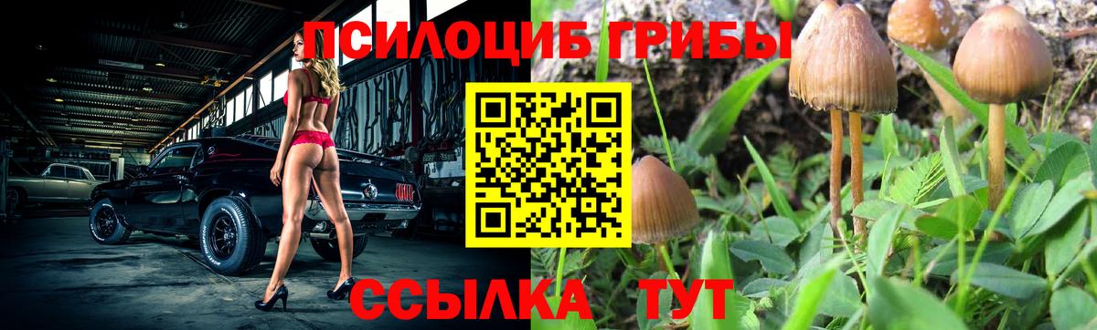 Галлюциногенные грибы MAGIC MUSHROOMS Новошахтинск